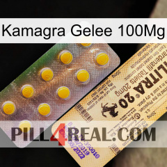 Kamagra Jelly 100Mg new06